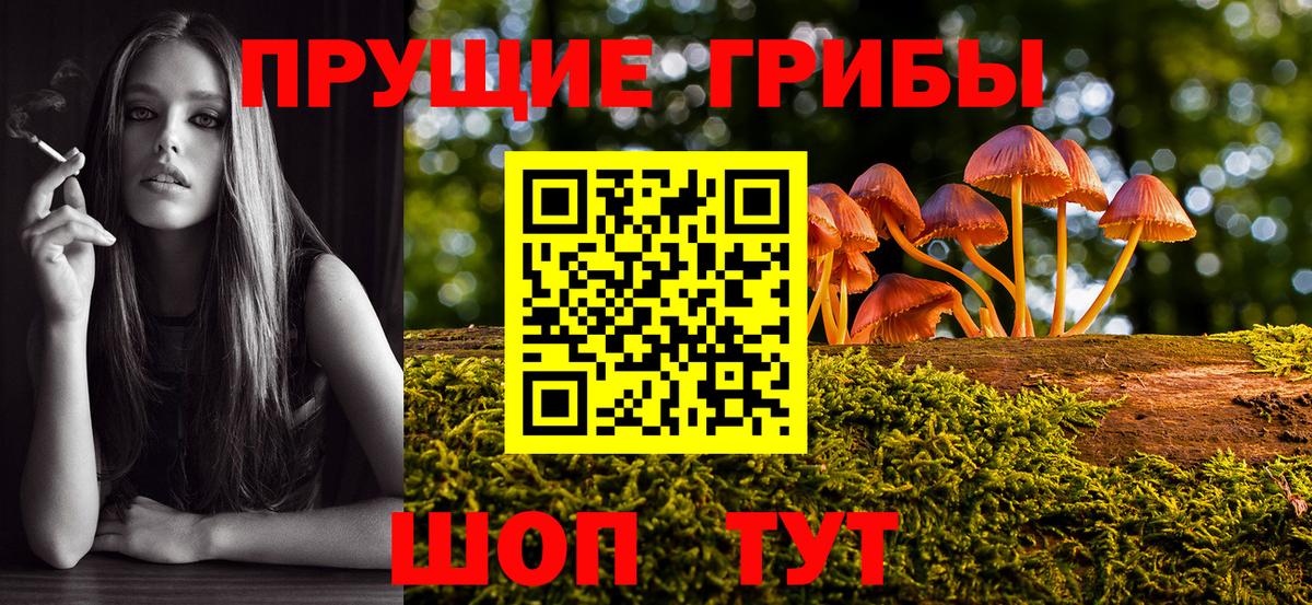 Галлюциногенные грибы прущие грибы  Галлюциногенные грибы Psilocybe  Вход с VPN  Канск 